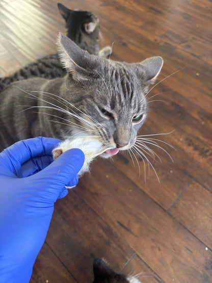 100% Dehydrated Rabbit Ears (10-15pcs, 3.5oz)