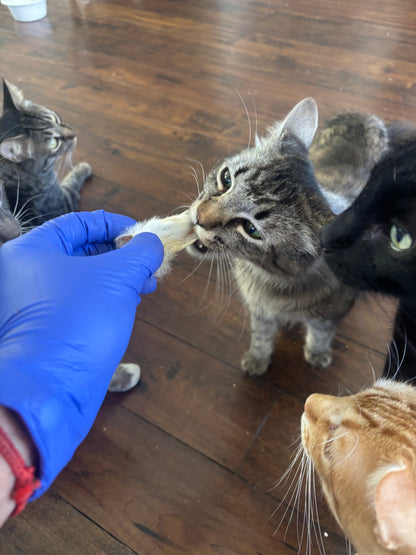 100% Dehydrated Rabbit Ears (10-15pcs, 3.5oz)