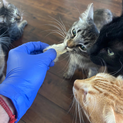 100% Dehydrated Rabbit Ears (10-15pcs, 3.5oz)